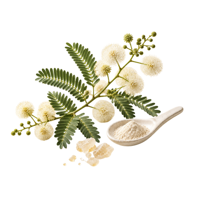 Prebiotics for Better Gut Health