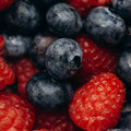 Prebiotics for Better Gut Health